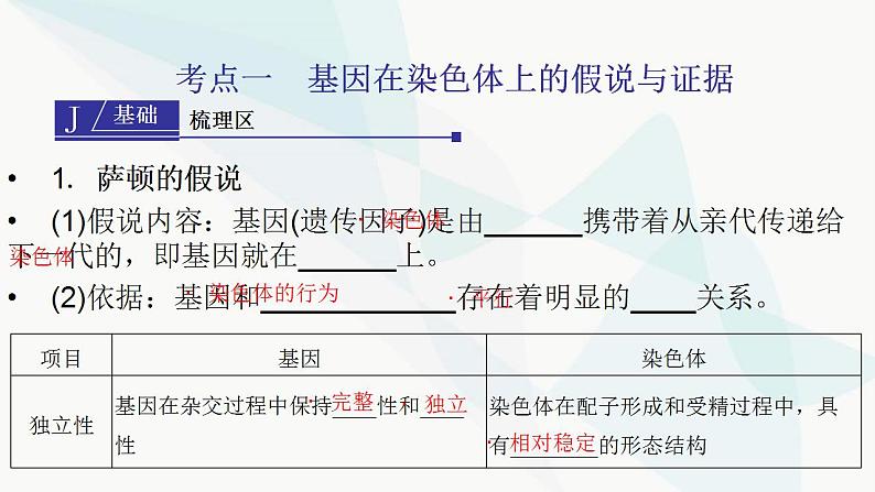 2024届人教版高考生物一轮复习伴性遗传与人类遗传病课件（多项）第3页