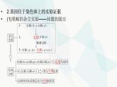 2024届人教版高考生物一轮复习伴性遗传与人类遗传病课件（多项）
