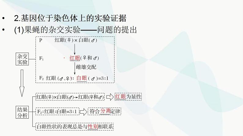 2024届人教版高考生物一轮复习伴性遗传与人类遗传病课件（多项）第5页