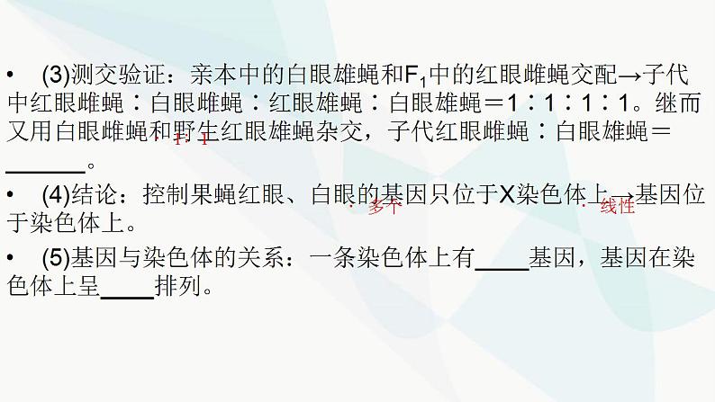 2024届人教版高考生物一轮复习伴性遗传与人类遗传病课件（多项）第7页