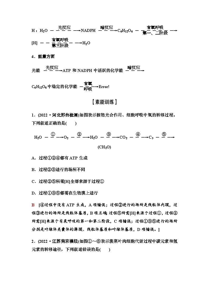 2024届人教版高中生物一轮复习素养加强课2光合作用和细胞呼吸的综合学案第2页