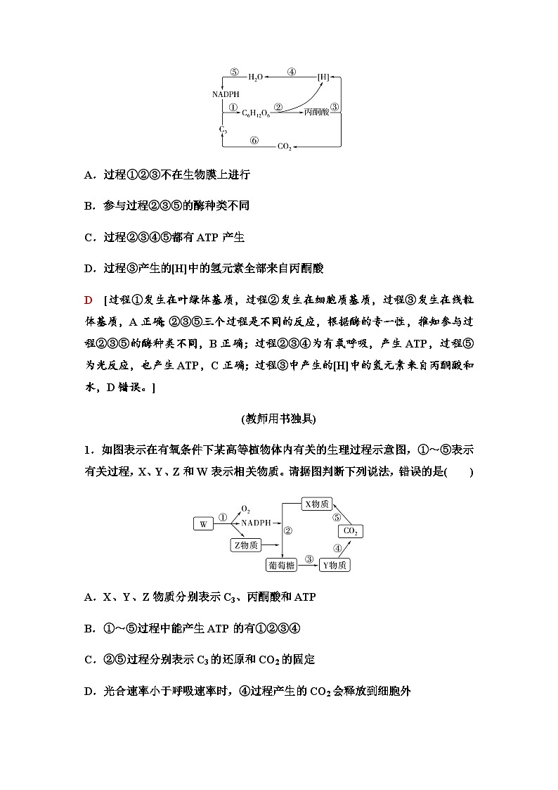 2024届人教版高中生物一轮复习素养加强课2光合作用和细胞呼吸的综合学案第3页