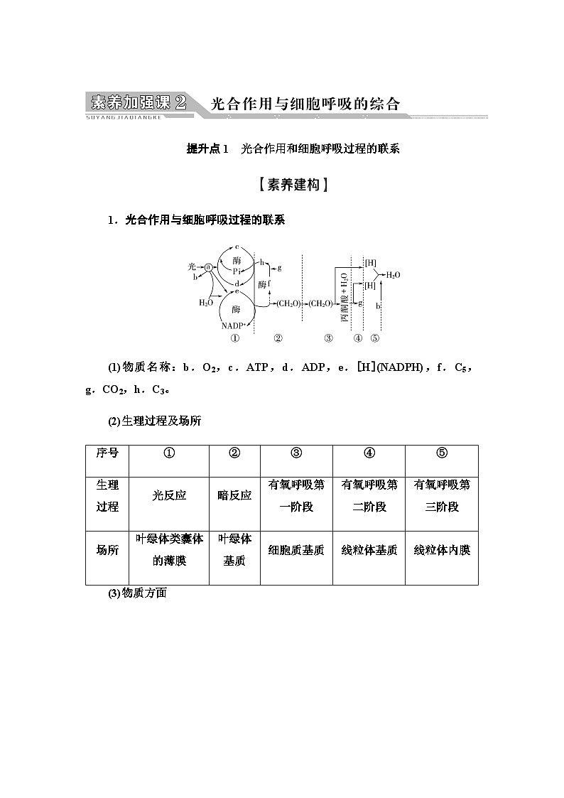 2024届人教版高中生物一轮复习素养加强课2光合作用与细胞呼吸的综合学案第1页