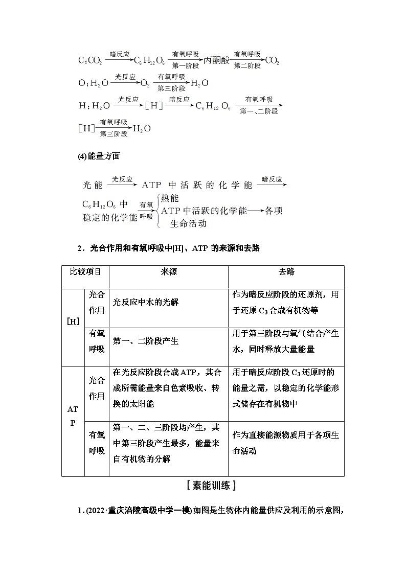 2024届人教版高中生物一轮复习素养加强课2光合作用与细胞呼吸的综合学案第2页