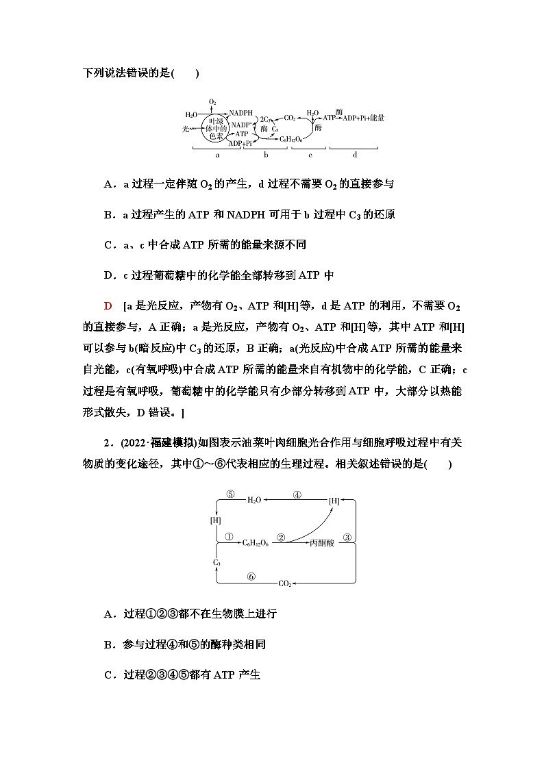 2024届人教版高中生物一轮复习素养加强课2光合作用与细胞呼吸的综合学案第3页