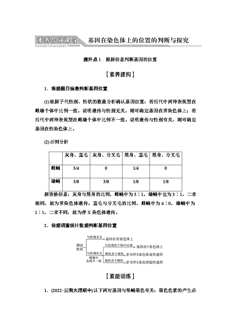 2024届人教版高中生物一轮复习素养加强课5基因在染色体上的位置的判断与探究学案第1页