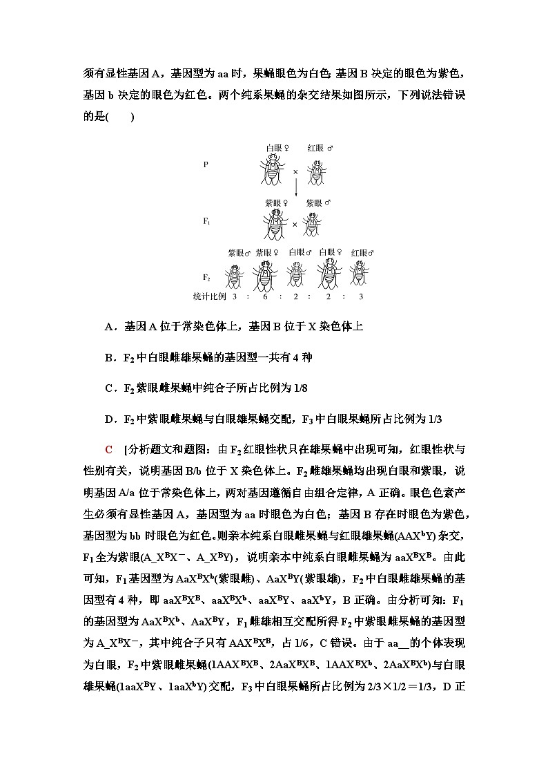 2024届人教版高中生物一轮复习素养加强课5基因在染色体上的位置的判断与探究学案第2页
