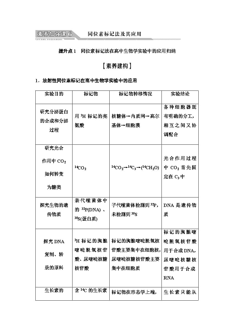 2024届人教版高中生物一轮复习素养加强课6同位素标记法及其应用学案1第1页
