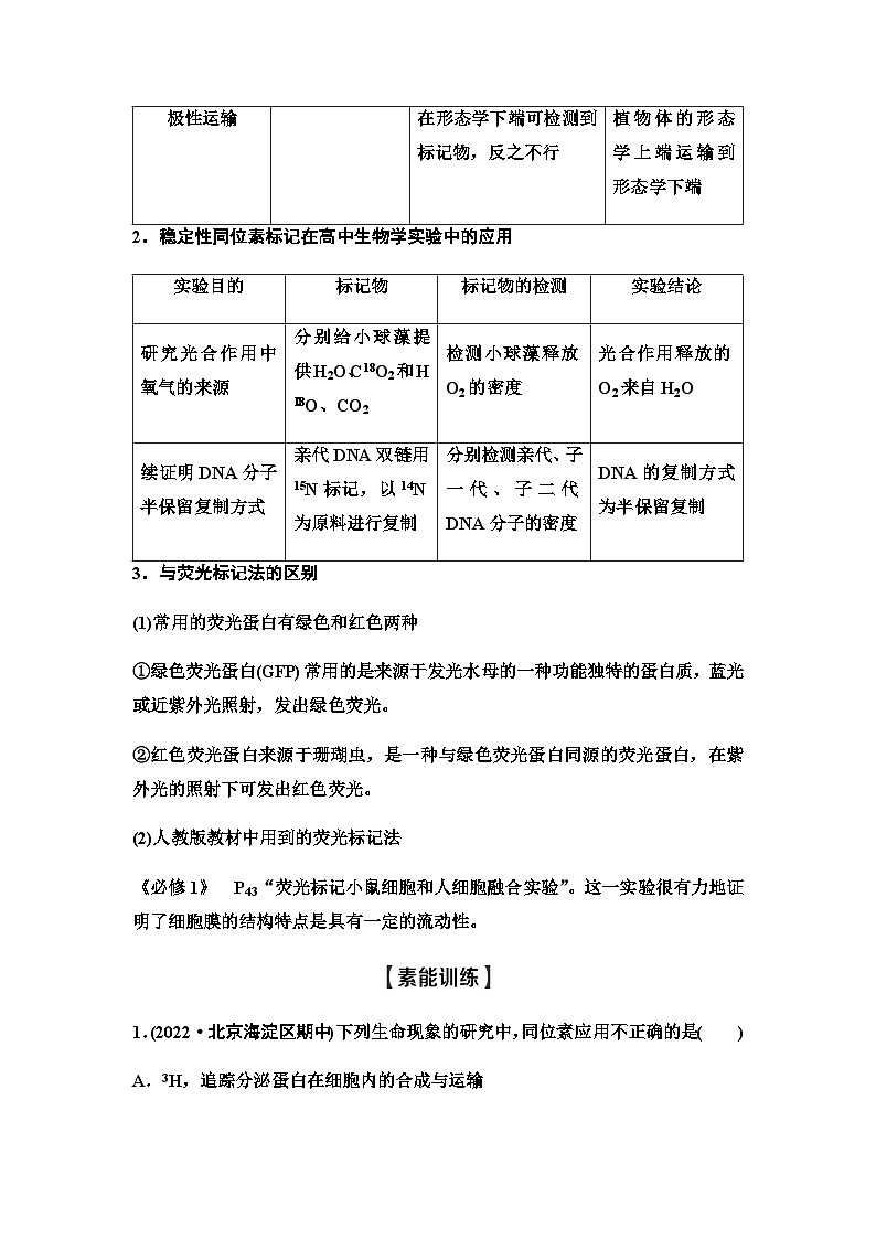 2024届人教版高中生物一轮复习素养加强课6同位素标记法及其应用学案1第2页