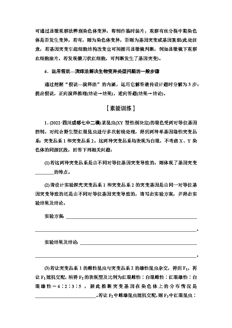 2024届人教版高中生物一轮复习素养加强课7细胞分裂与遗传变异的综合学案第2页