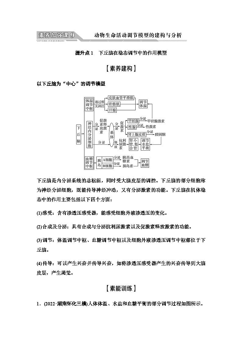 2024届人教版高中生物一轮复习素养加强课9动物生命活动调节模型的建构与分析学案第1页