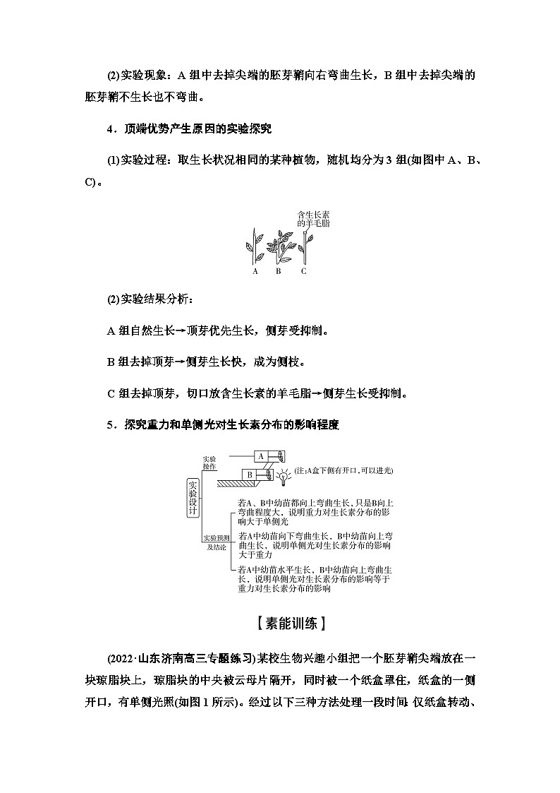 2024届人教版高中生物一轮复习素养加强课10植物激素调节相关实验设计学案1第2页