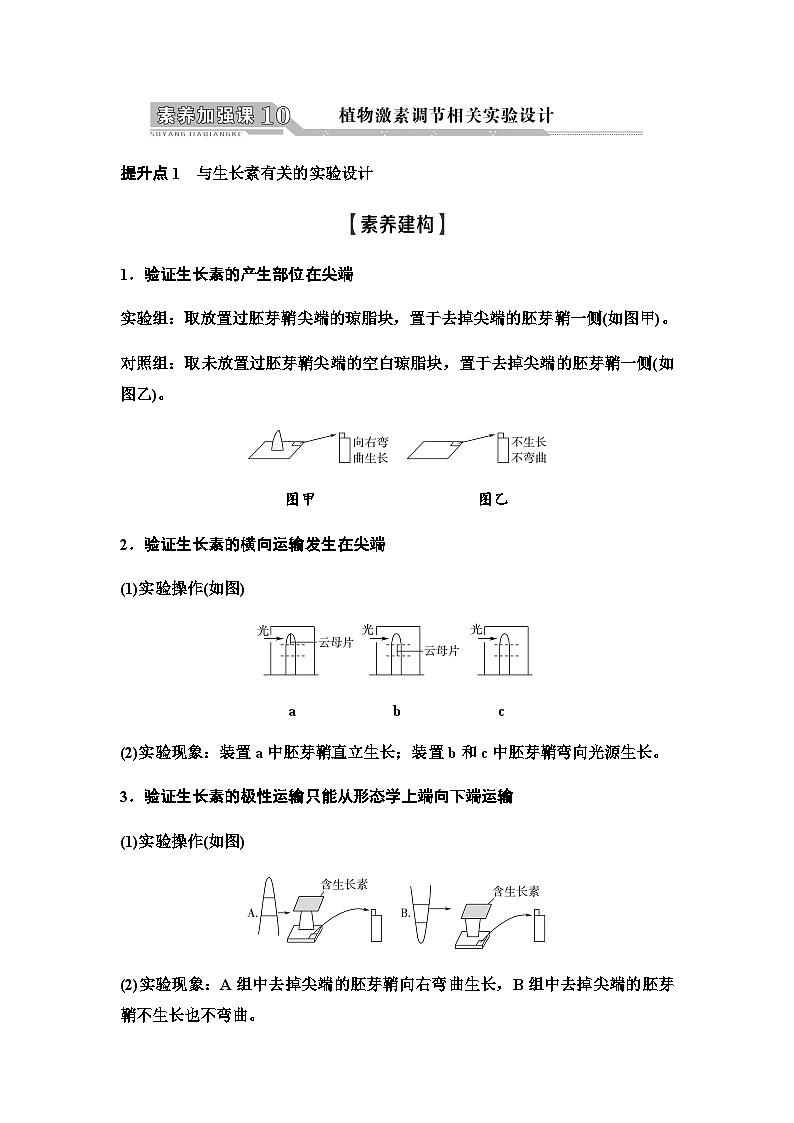 2024届人教版高中生物一轮复习素养加强课10植物激素调节相关实验设计学案2第1页