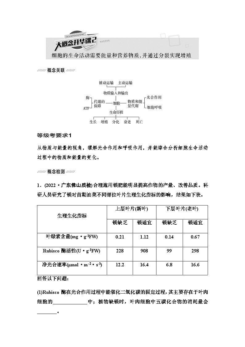 2024届人教版高中生物一轮复习大概念升华课2细胞的生命活动需要能量和营养物质，并通过分裂实现增殖学案第1页
