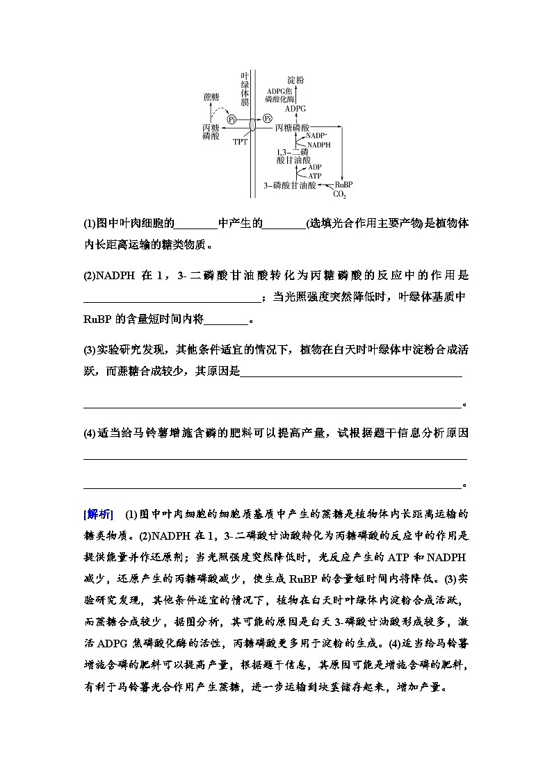 2024届人教版高中生物一轮复习大概念升华课2细胞的生命活动需要能量和营养物质，并通过分裂实现增殖学案第3页