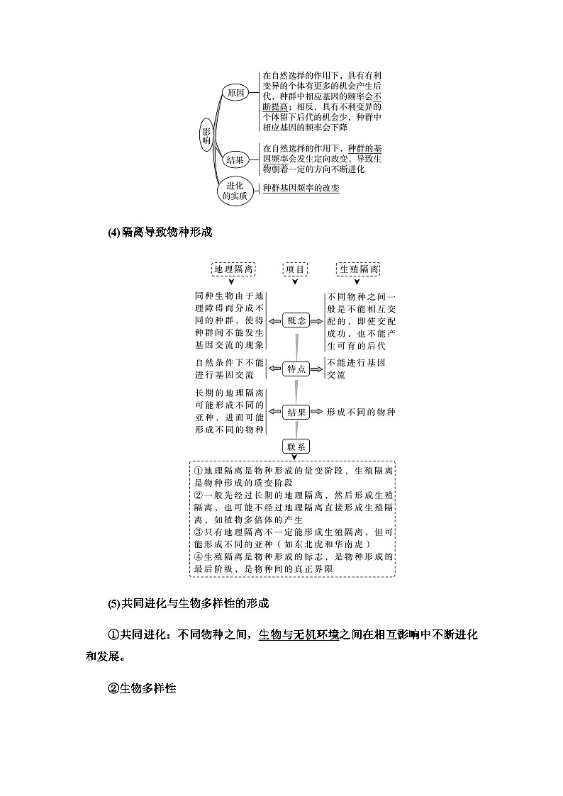 2024届人教版高中生物一轮复习现代生物进化理论学案第3页
