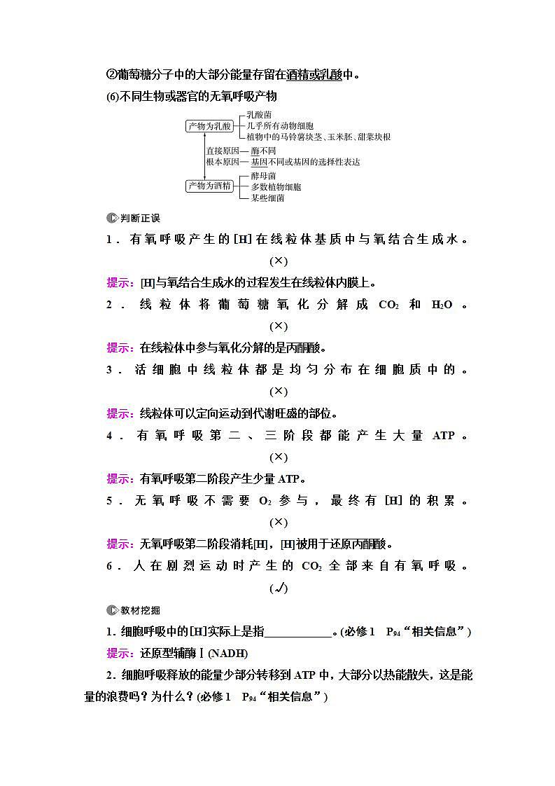 2024届人教版高中生物一轮复习细胞呼吸学案第3页