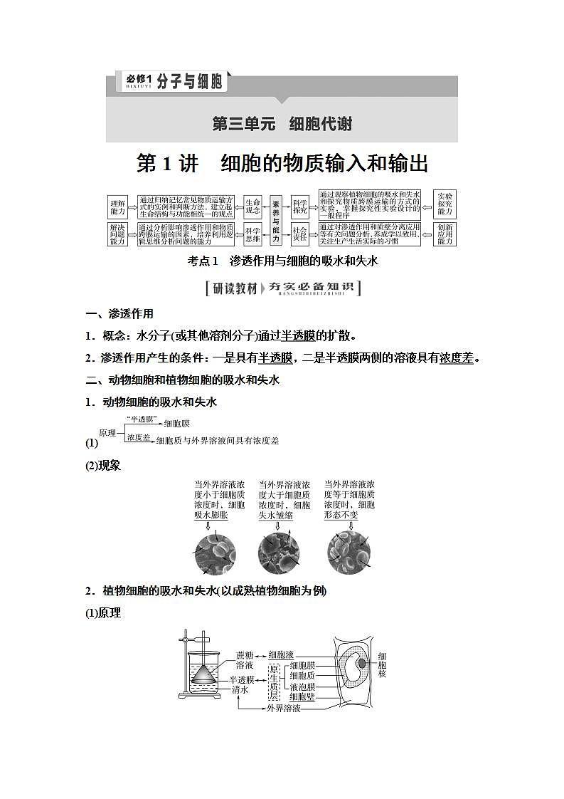 2024届人教版高中生物一轮复习细胞的物质输入和输出学案01