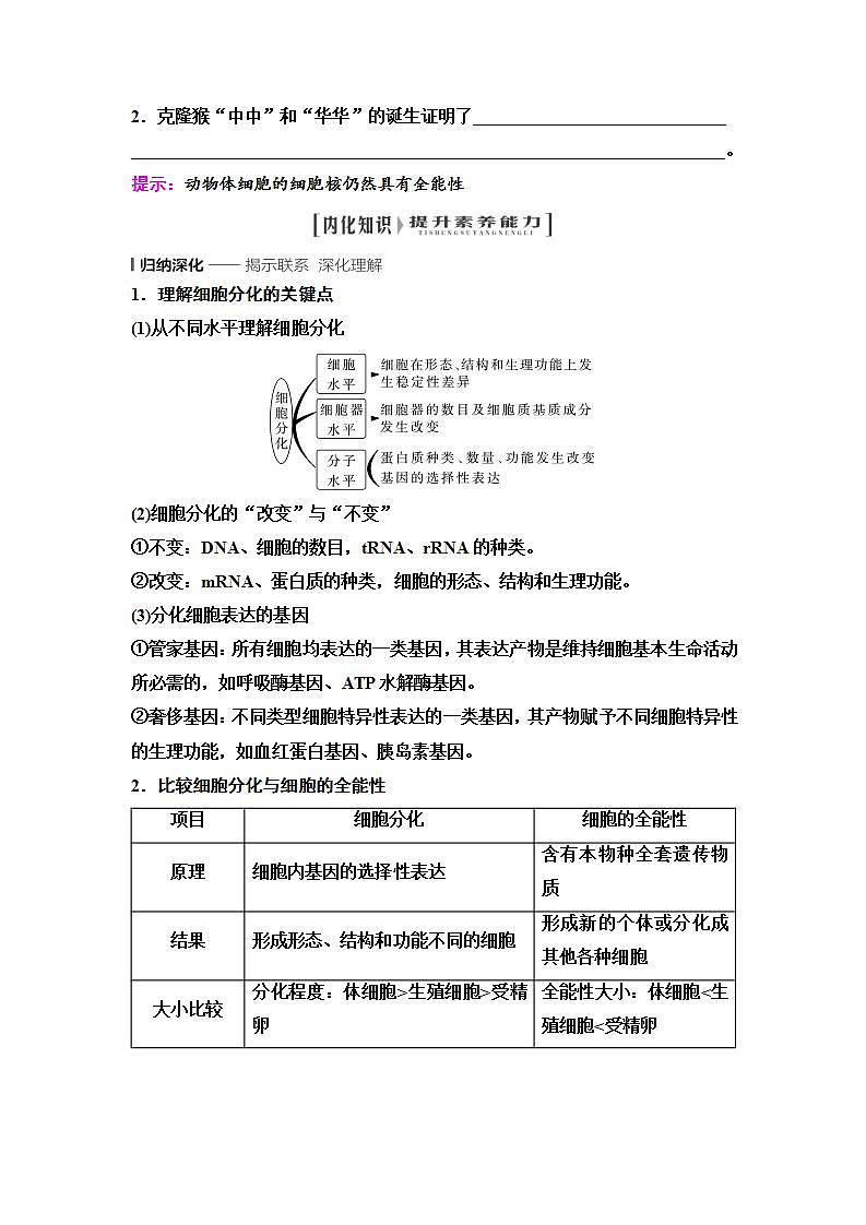 2024届人教版高中生物一轮复习细胞的分化、衰老和死亡学案第3页