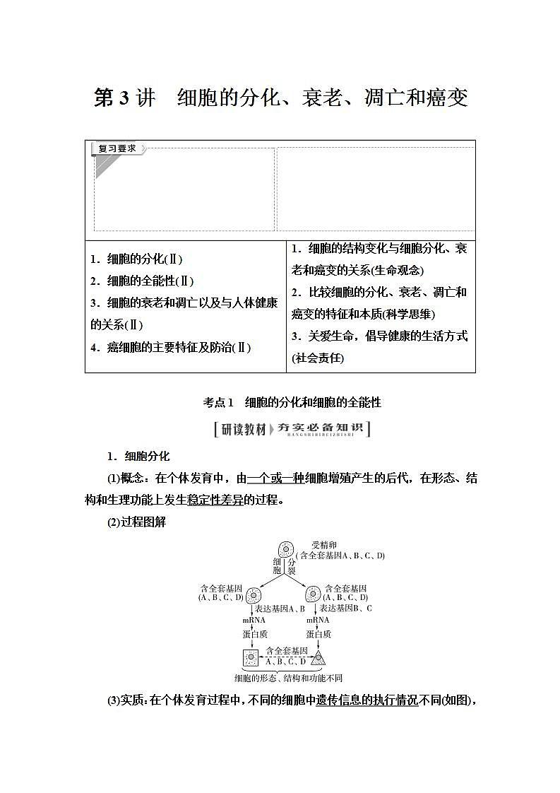 2024届人教版高中生物一轮复习细胞的分化、衰老、凋亡和癌变学案第1页