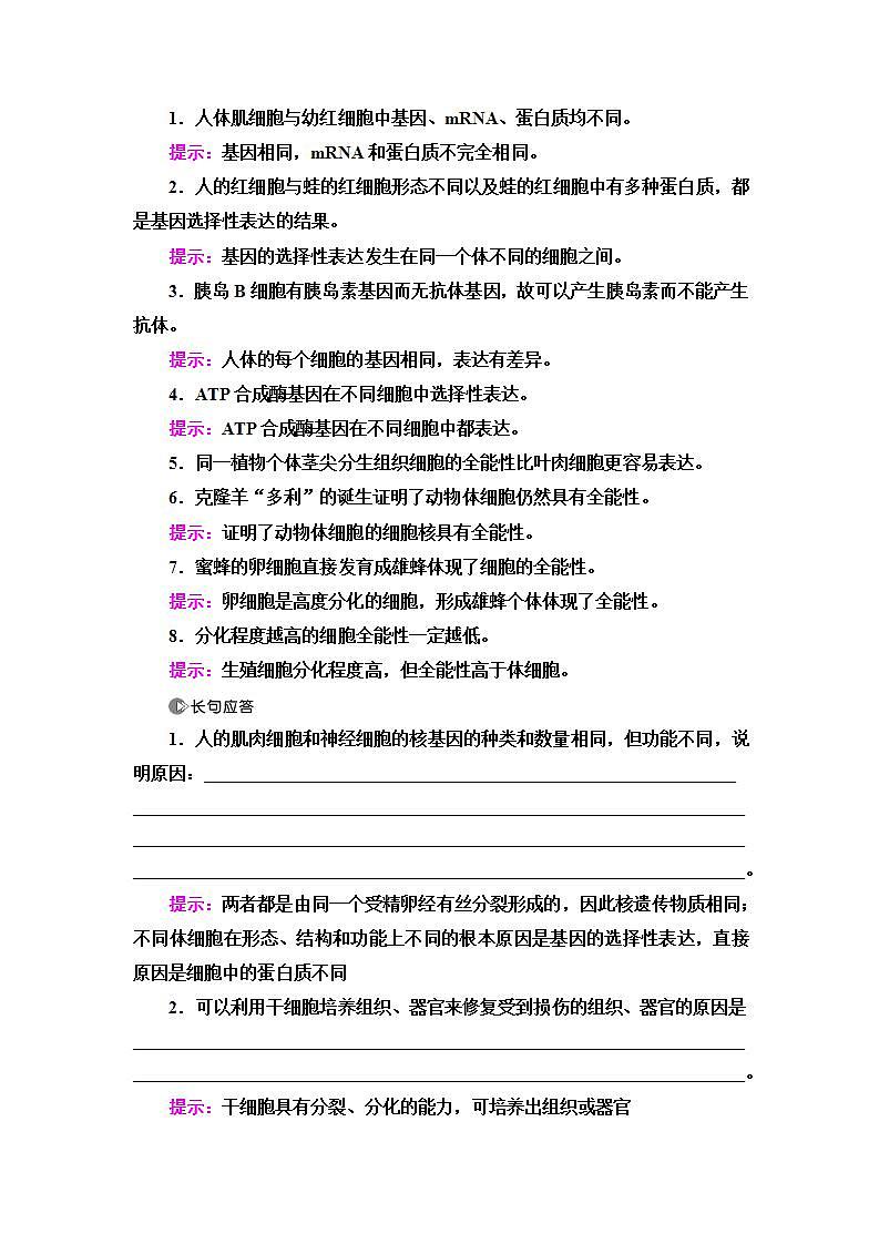 2024届人教版高中生物一轮复习细胞的分化、衰老、凋亡和癌变学案第3页