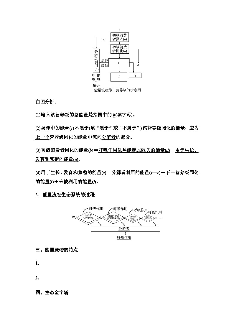 2024届人教版高中生物一轮复习生态系统的功能学案02