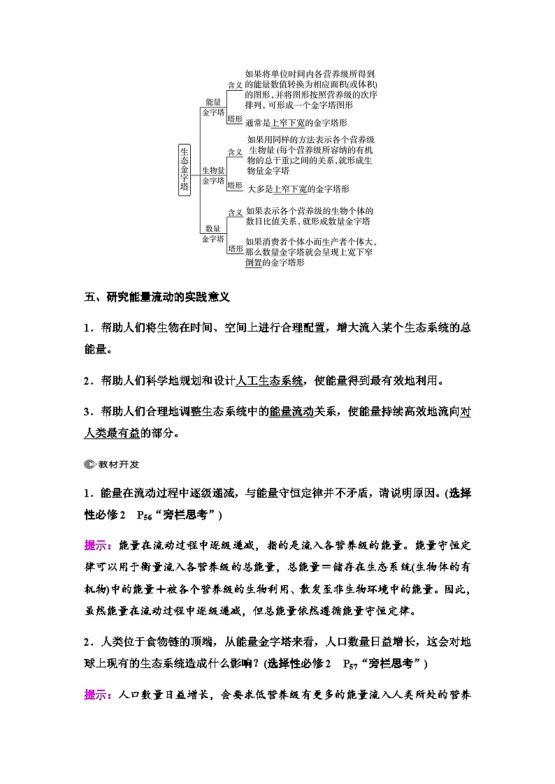 2024届人教版高中生物一轮复习生态系统的功能学案03