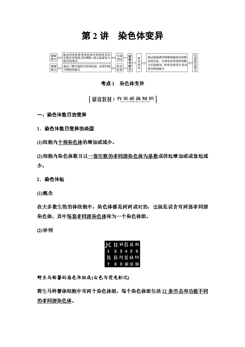 2024届人教版高中生物一轮复习染色体变异学案第1页