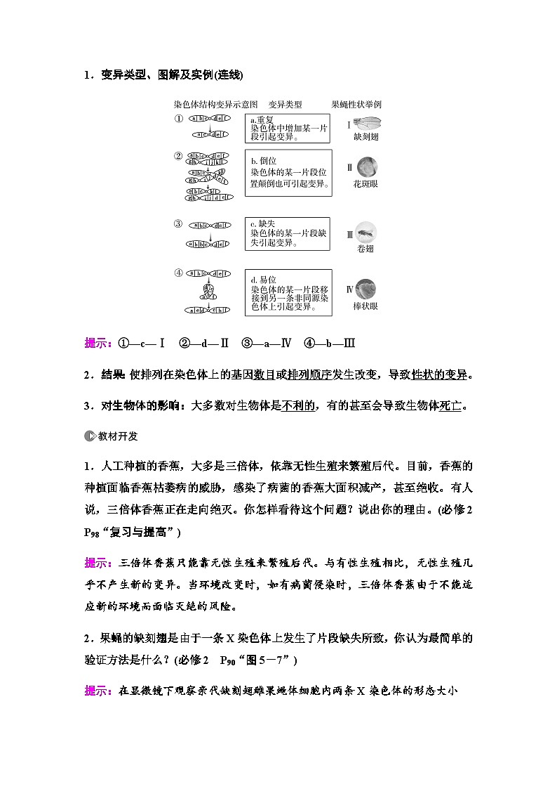 2024届人教版高中生物一轮复习染色体变异学案第3页