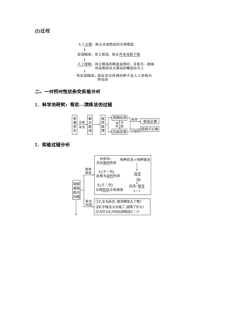2024届人教版高中生物一轮复习孟德尔的豌豆杂交实验(一)学案第2页