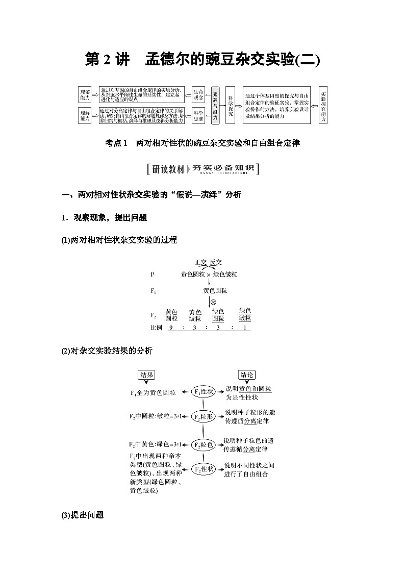 2024届人教版高中生物一轮复习孟德尔的豌豆杂交实验(二)学案第1页