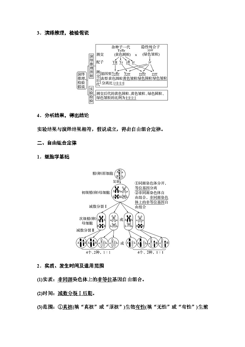 2024届人教版高中生物一轮复习孟德尔的豌豆杂交实验(二)学案第3页