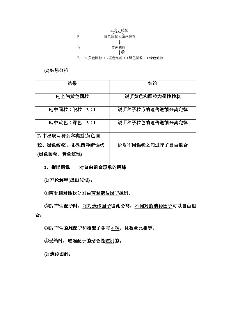 2024届人教版高中生物一轮复习孟德尔的豌豆杂交实验(二)学案 (2)第2页
