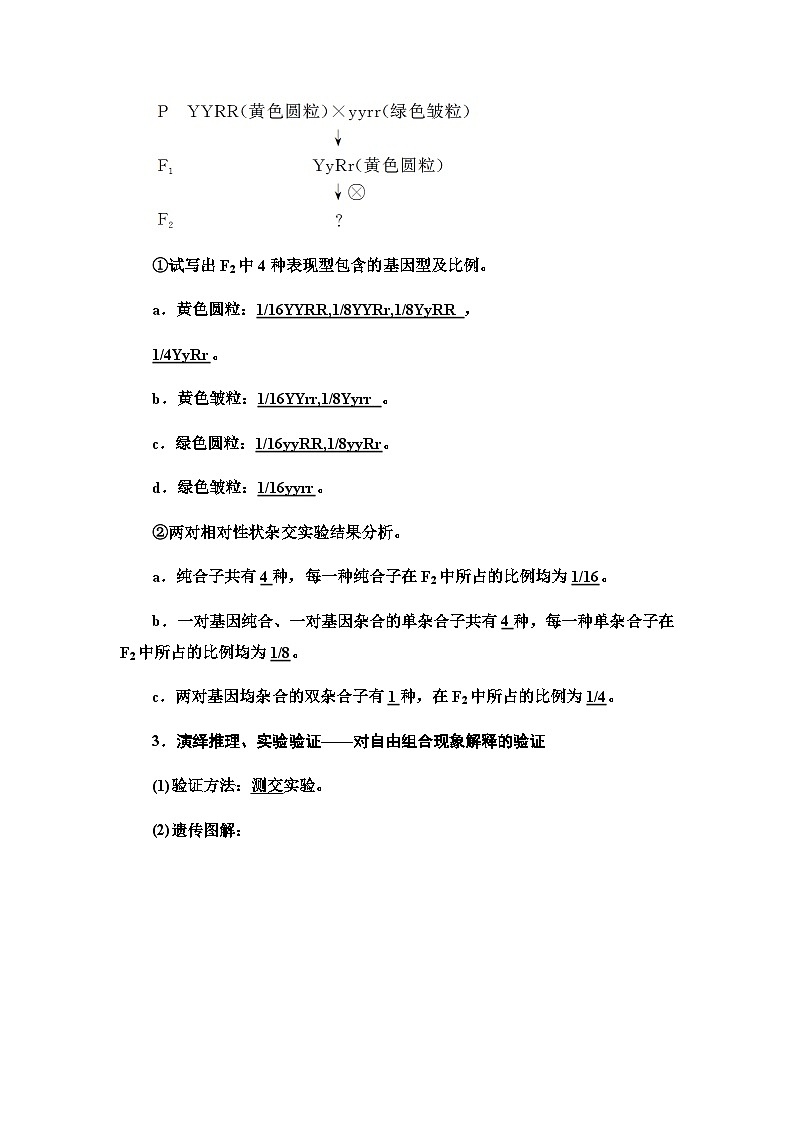 2024届人教版高中生物一轮复习孟德尔的豌豆杂交实验(二)学案 (2)第3页