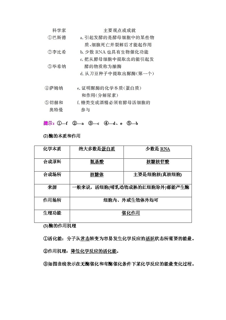 2024届人教版高中生物一轮复习酶和ATP学案 (2)第2页