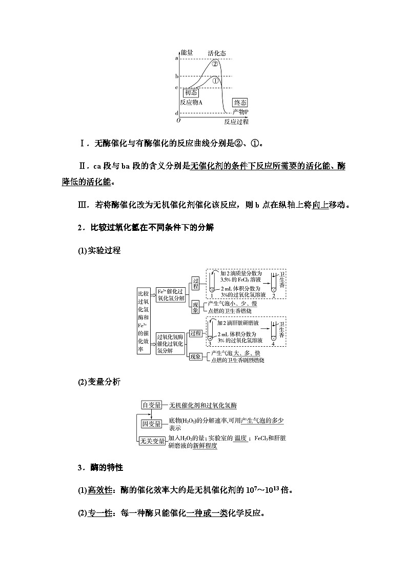 2024届人教版高中生物一轮复习酶和ATP学案 (2)第3页