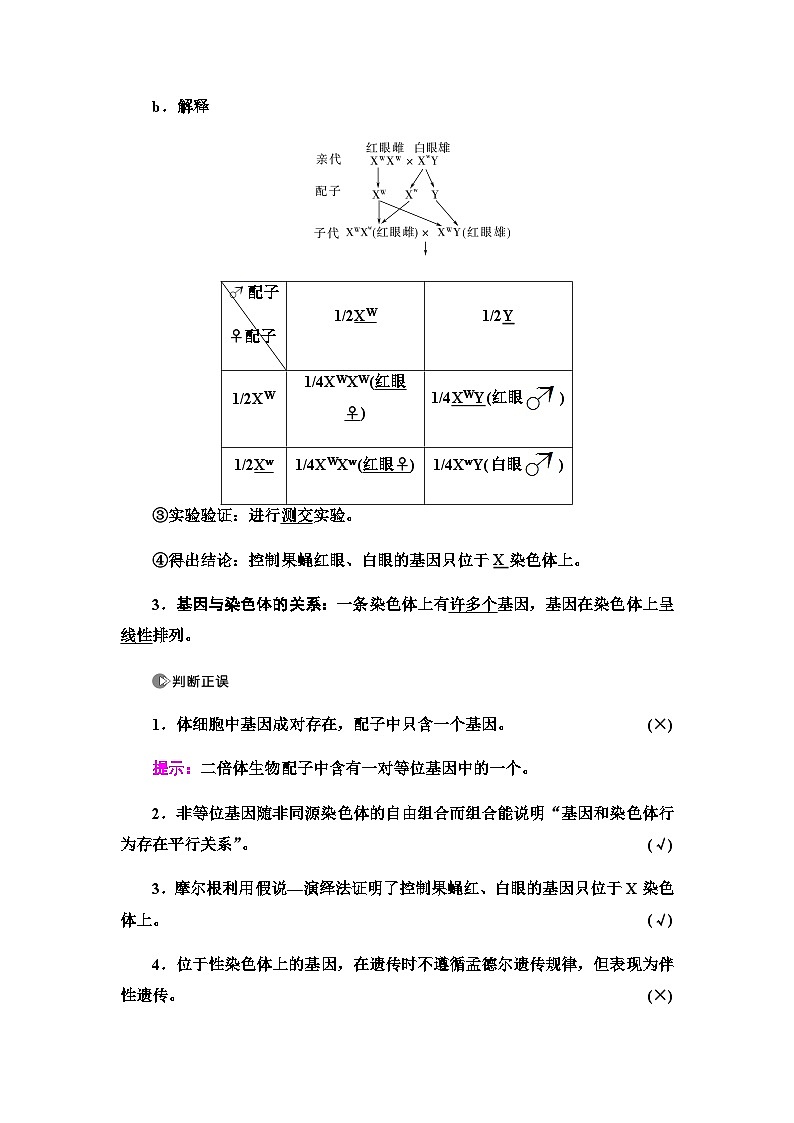 2024届人教版高中生物一轮复习基因在染色体上和伴性遗传学案第3页