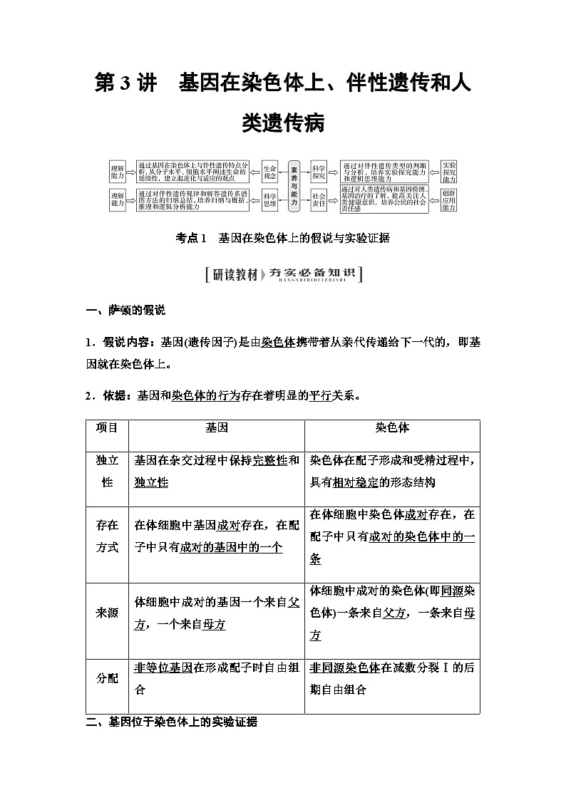 2024届人教版高中生物一轮复习基因在染色体上、伴性遗传和人类遗传病学案01