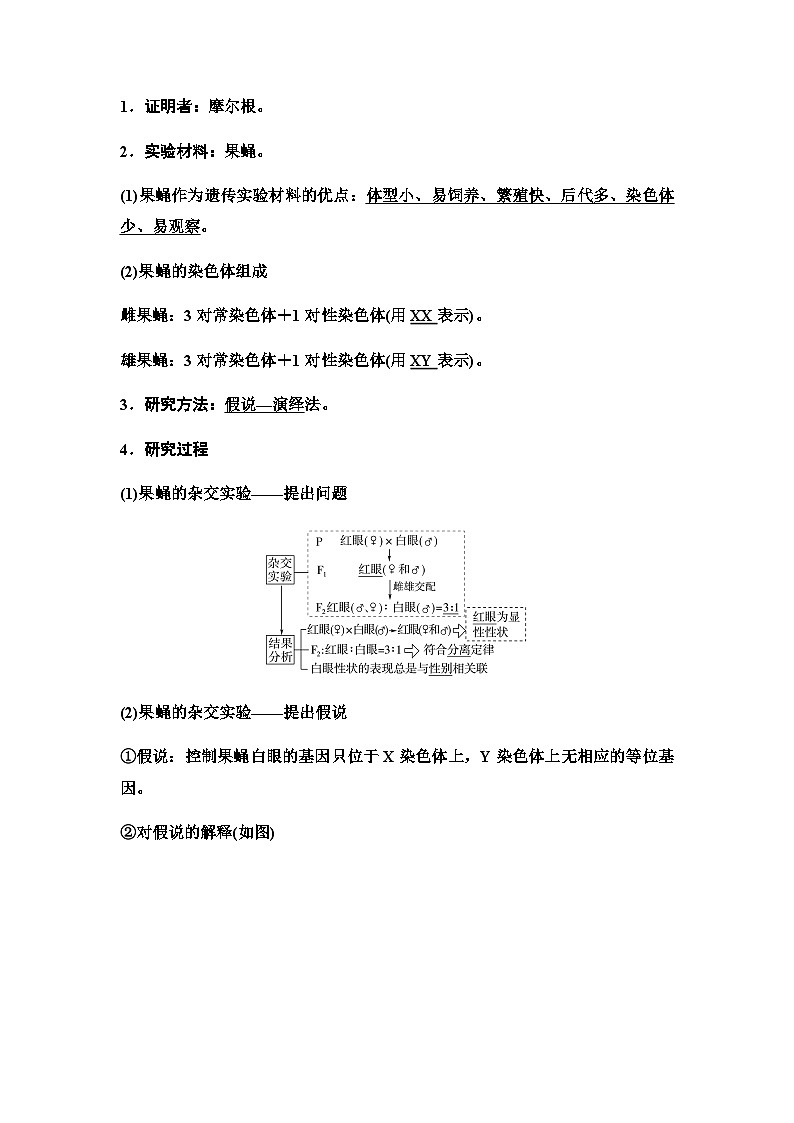 2024届人教版高中生物一轮复习基因在染色体上、伴性遗传和人类遗传病学案02
