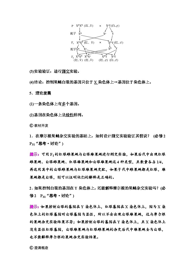 2024届人教版高中生物一轮复习基因在染色体上、伴性遗传和人类遗传病学案03