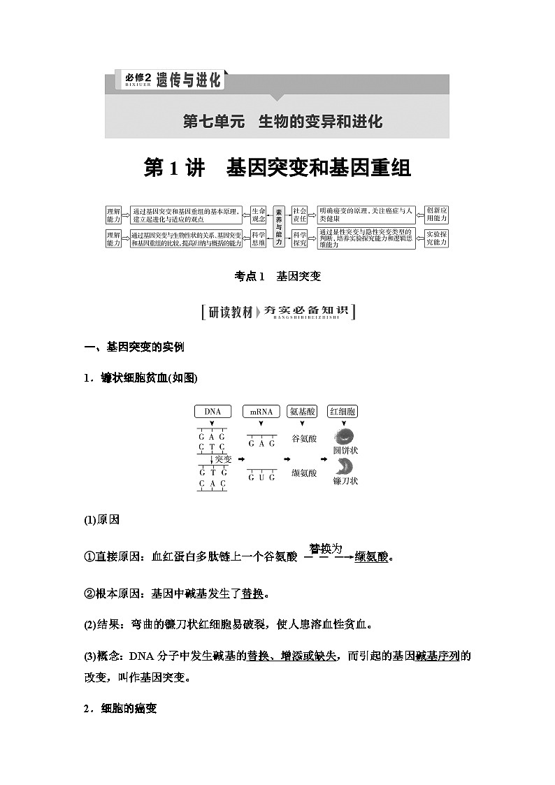 2024届人教版高中生物一轮复习基因突变和基因重组学案第1页
