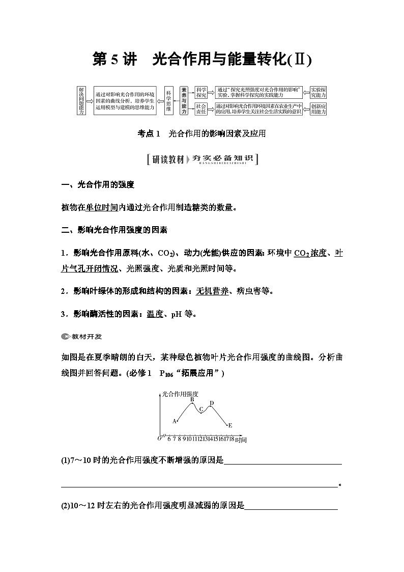 2024届人教版高中生物一轮复习光合作用与能量转化(Ⅱ)学案第1页
