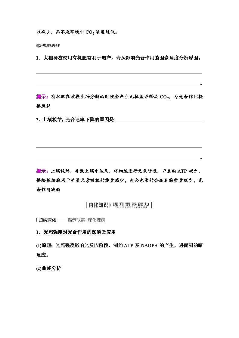 2024届人教版高中生物一轮复习光合作用与能量转化(Ⅱ)学案第3页