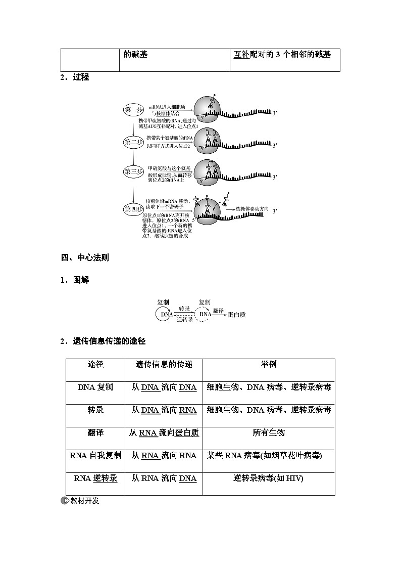 2024届人教版高中生物一轮复习基因的表达学案 (2)第3页