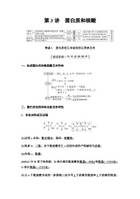 2024届人教版高中生物一轮复习蛋白质和核酸学案