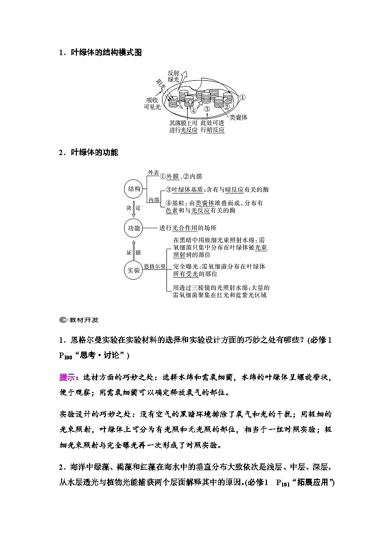 2024届人教版高中生物一轮复习光合作用与能量转化(Ⅰ)学案第2页