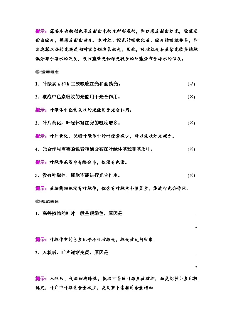 2024届人教版高中生物一轮复习光合作用与能量转化(Ⅰ)学案第3页