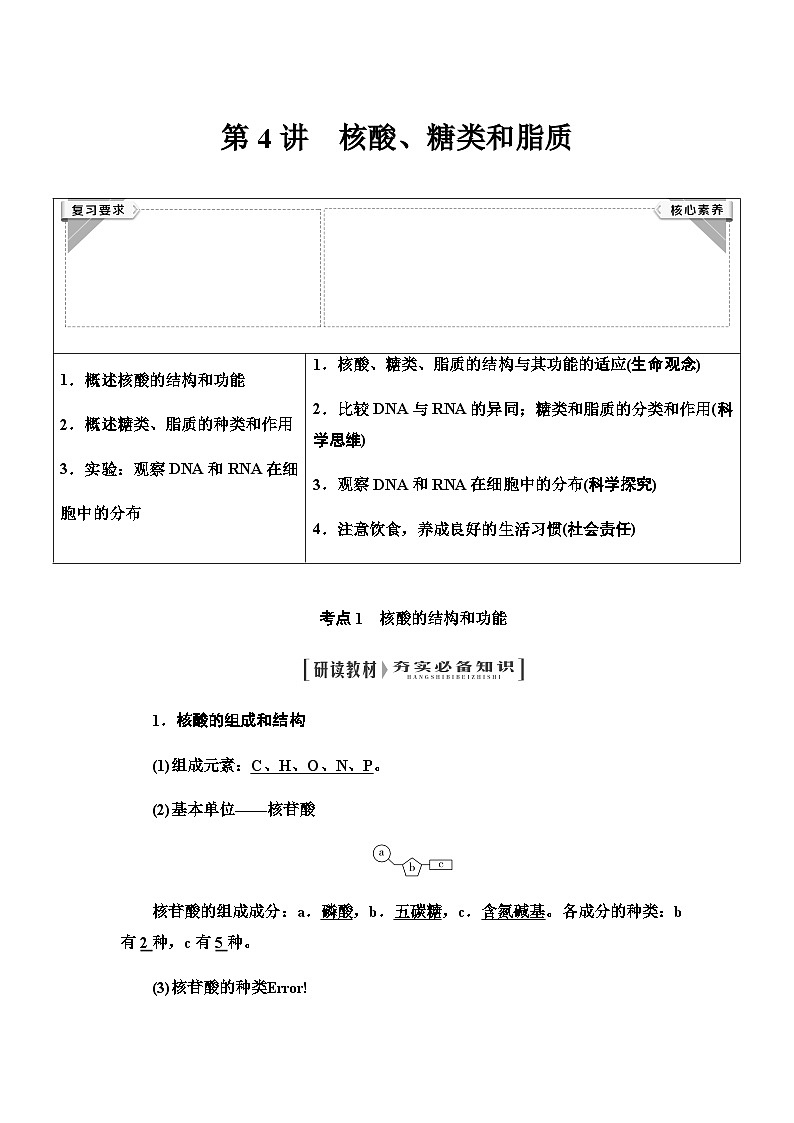 2024届人教版高中生物一轮复习核酸、糖类和脂质学案01