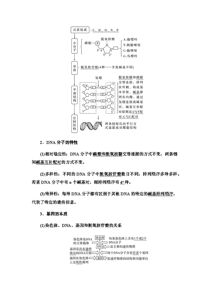 2024届人教版高中生物一轮复习DNA分子的结构、复制与基因的本质学案第2页
