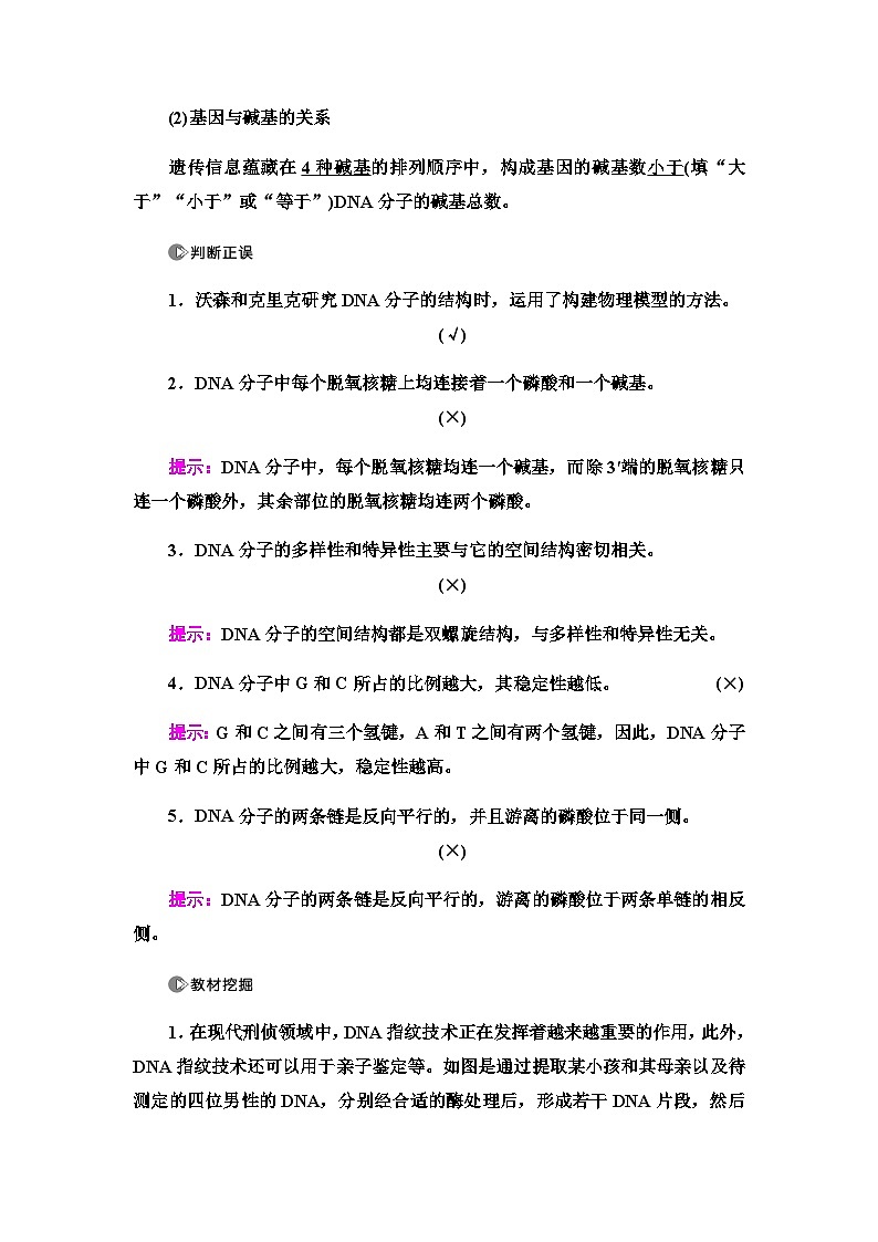 2024届人教版高中生物一轮复习DNA分子的结构、复制与基因的本质学案第3页